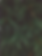 fir2.png