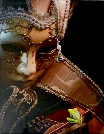 This little bow frog comes to life in "The Bow Frog" poem by Linda Eve Diamond. - Photograph by David Bowers