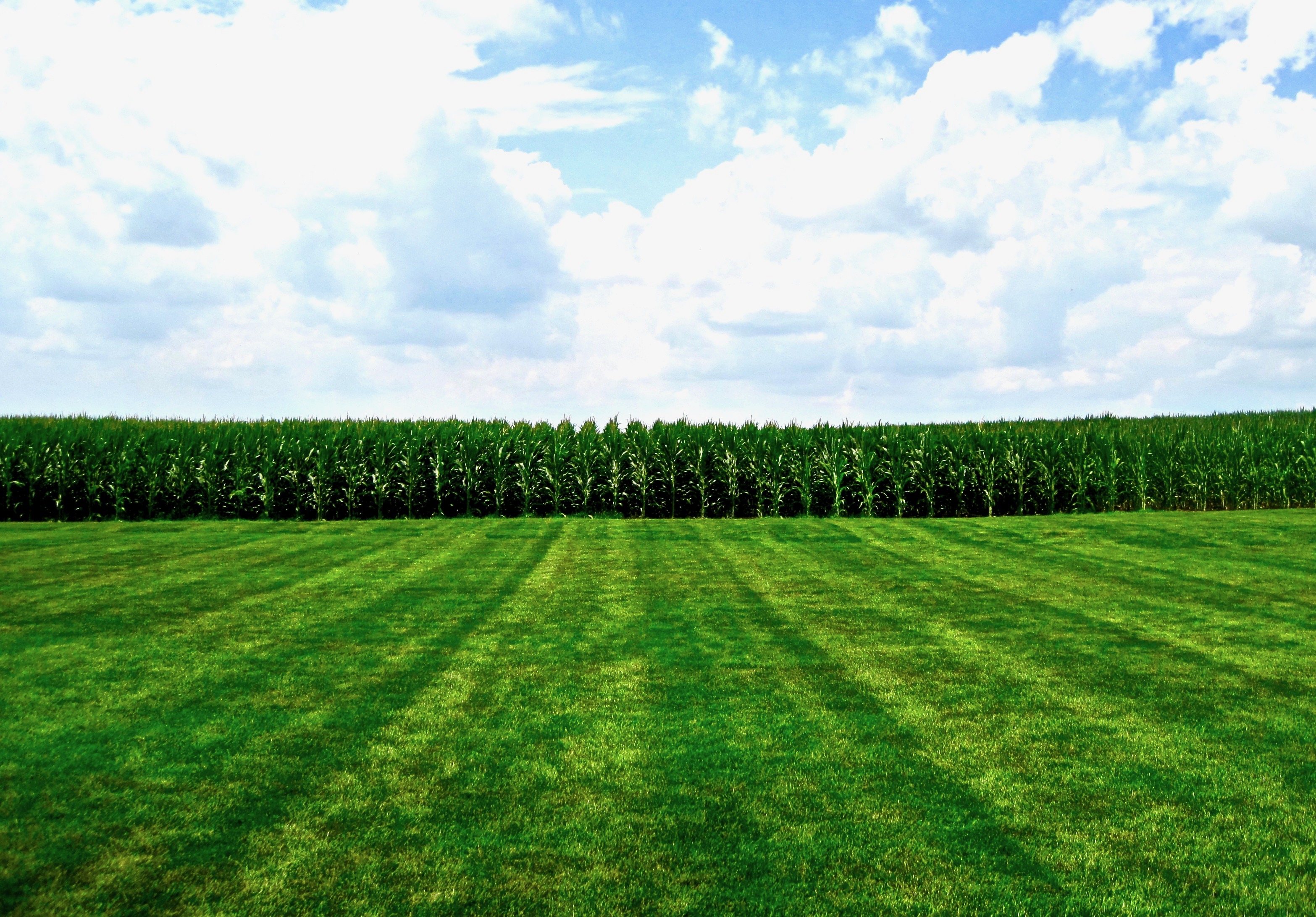 View from the Baseball Diamond