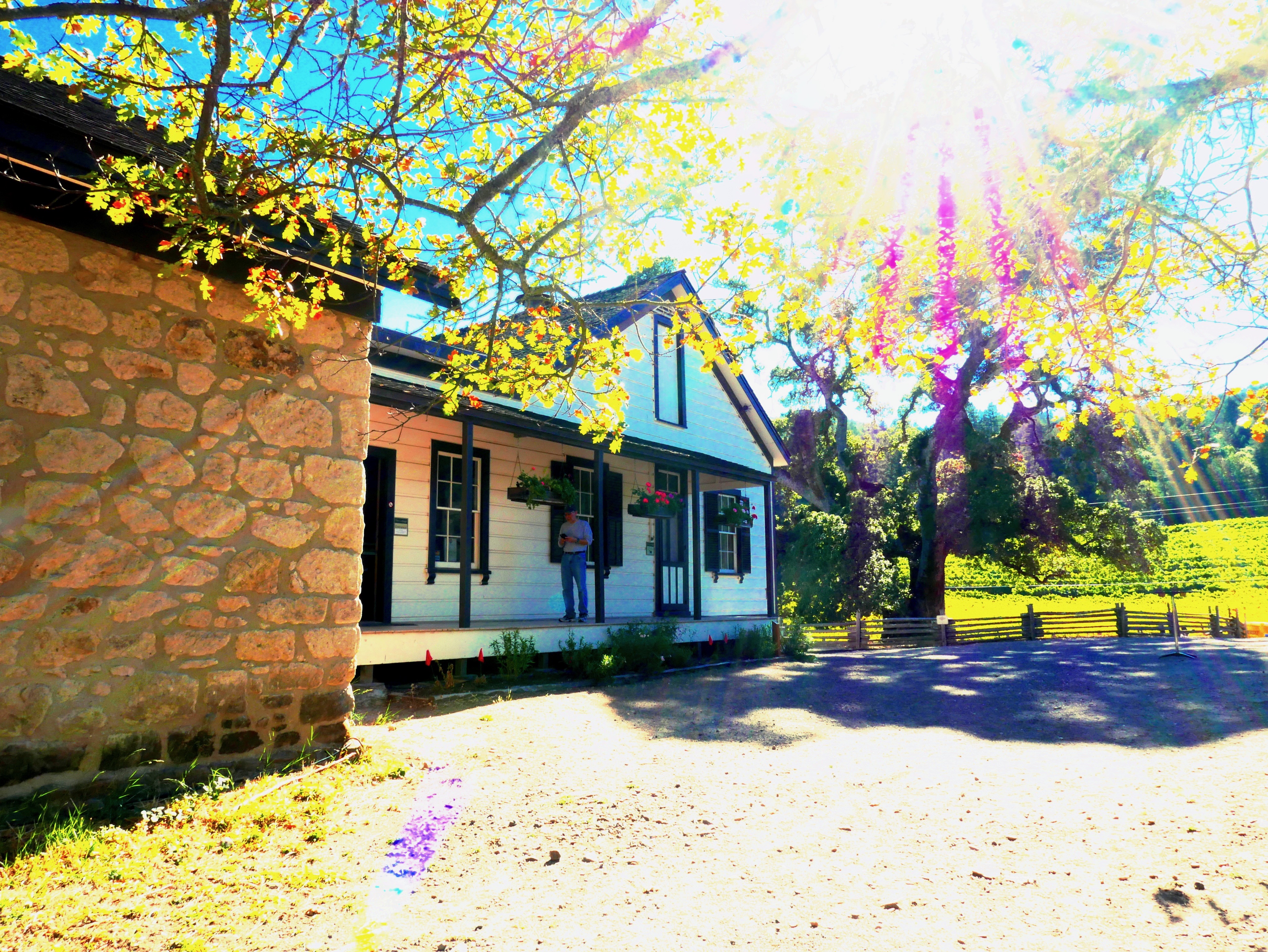 Sun Shining on the Cottage