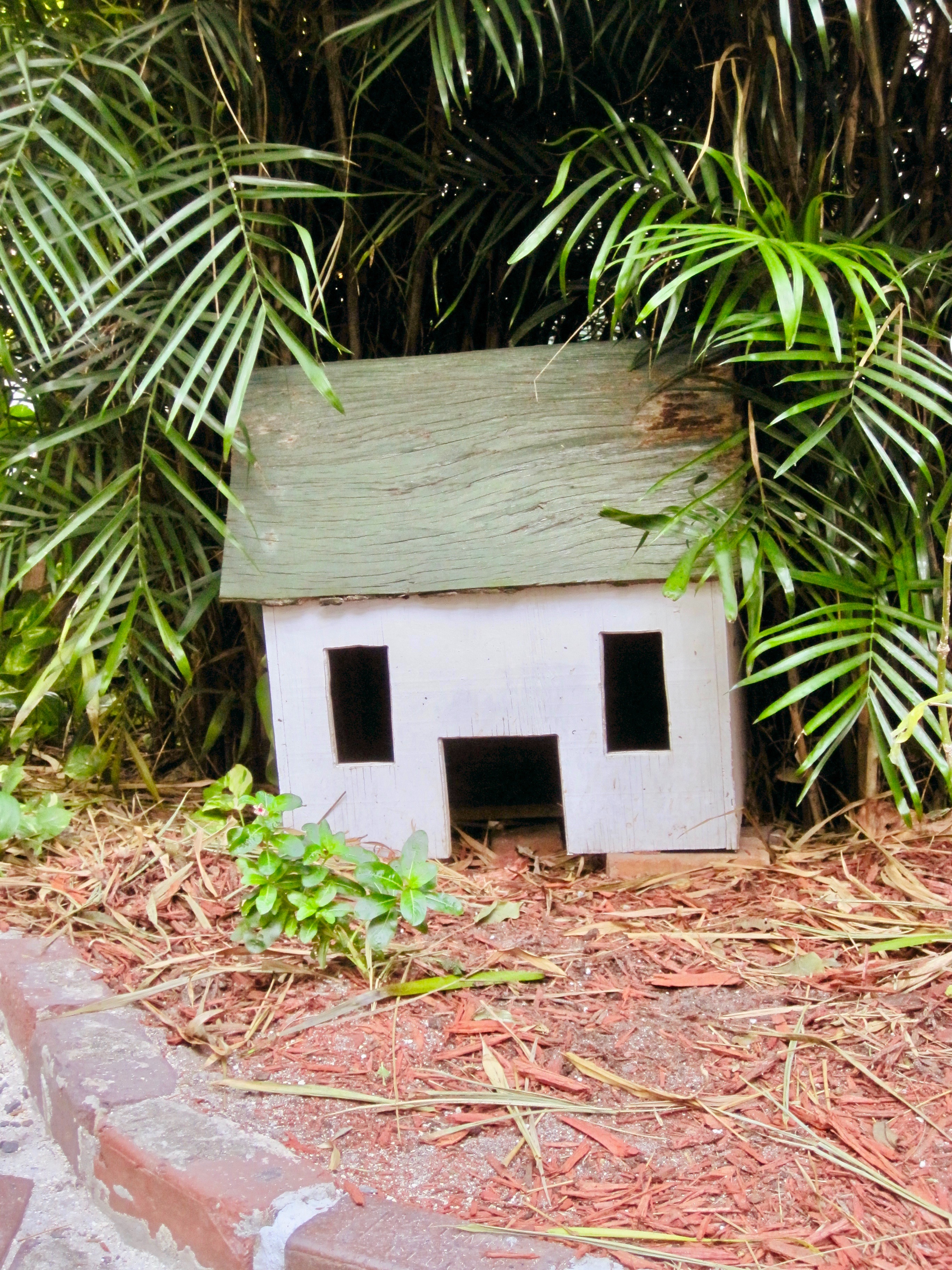 Cat House