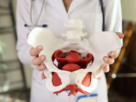 Fisioterapia Pélvica: o que é, para quem é indicada e como pode ajudar na sua qualidade de vida.