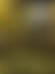 Democracy R&D Network 맨체스터 총회 참석