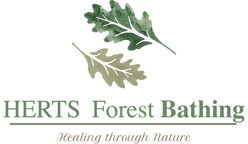 Herts_Forest_Bathing.png
