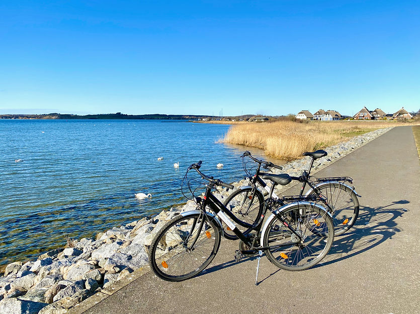 Fahrrad 1.jpeg
