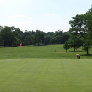 carroll_park0_2b9ff418-b60c-2d9e-f4e8f55c57a26679-300x300-c-default.webp