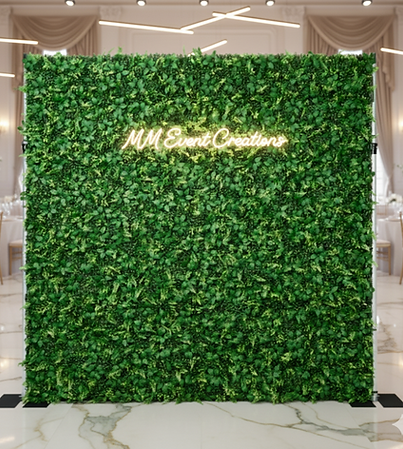 photo booth backdrop near me.png