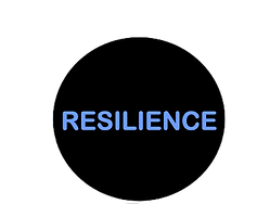 Screen Shot 2023-06-06 at 5.19_edited.pn