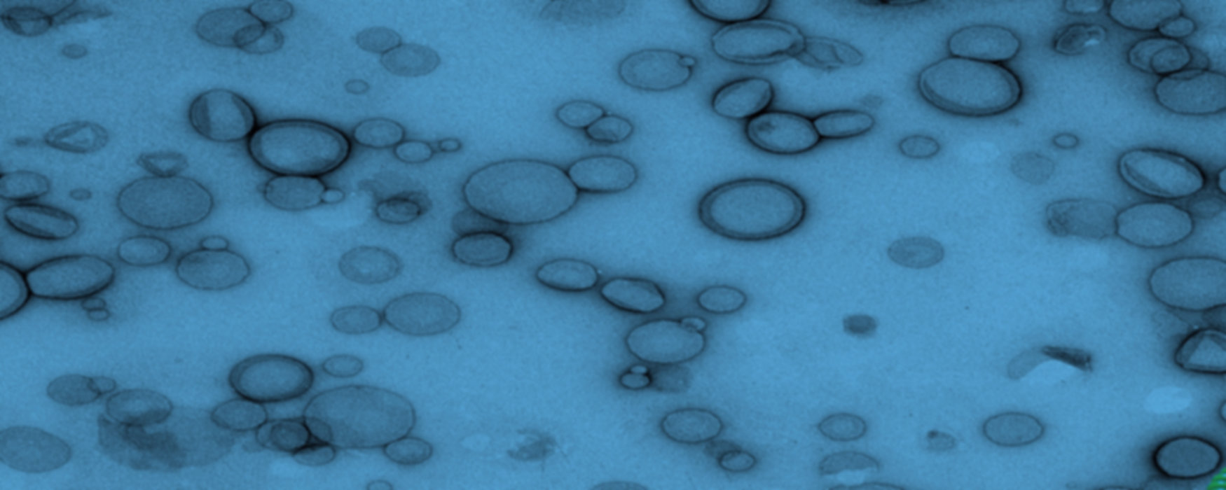 BioAlert Technologes_Background1.jpeg
