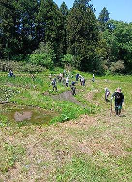 １．作業.jpg