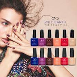 esmaltes shellac