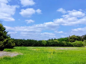 雨の日に想う