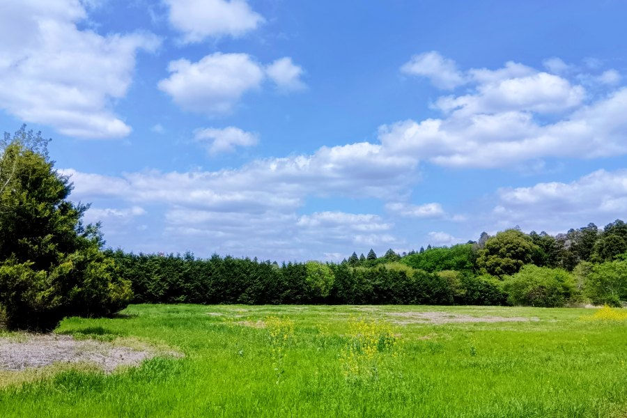 雨の日に想う