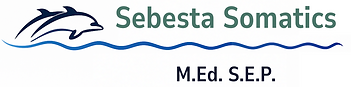 Brigitta Sebesta M.Ed., SEP text logo with blue wave Sebesta Somatics Llc