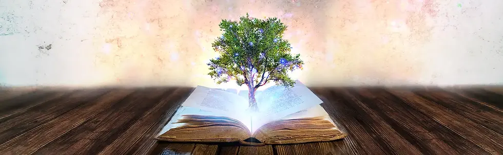 Green tree emerging from open book, representing growth and knowledge with Sebesta Somatics Llc
