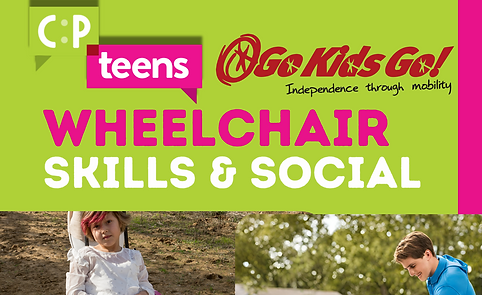 Wheelchair skills & social.png