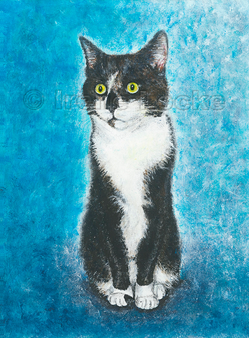 Black & white cat with green eyes on blue background, sitting up
