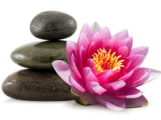 The Lotus Flower and Acupuncture