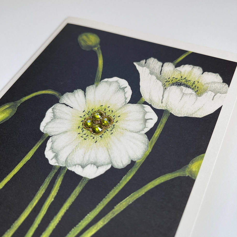 Thumbnail: AO063 Black Poppy Sympathy