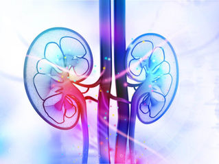 Kidneys in Balance: Activity & Rest in the Colder Months