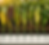 blogg3.png