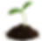 plant.png