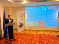 Neurvana International Suriname Hemp