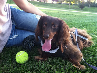 IMG_0846 (1).jpeg