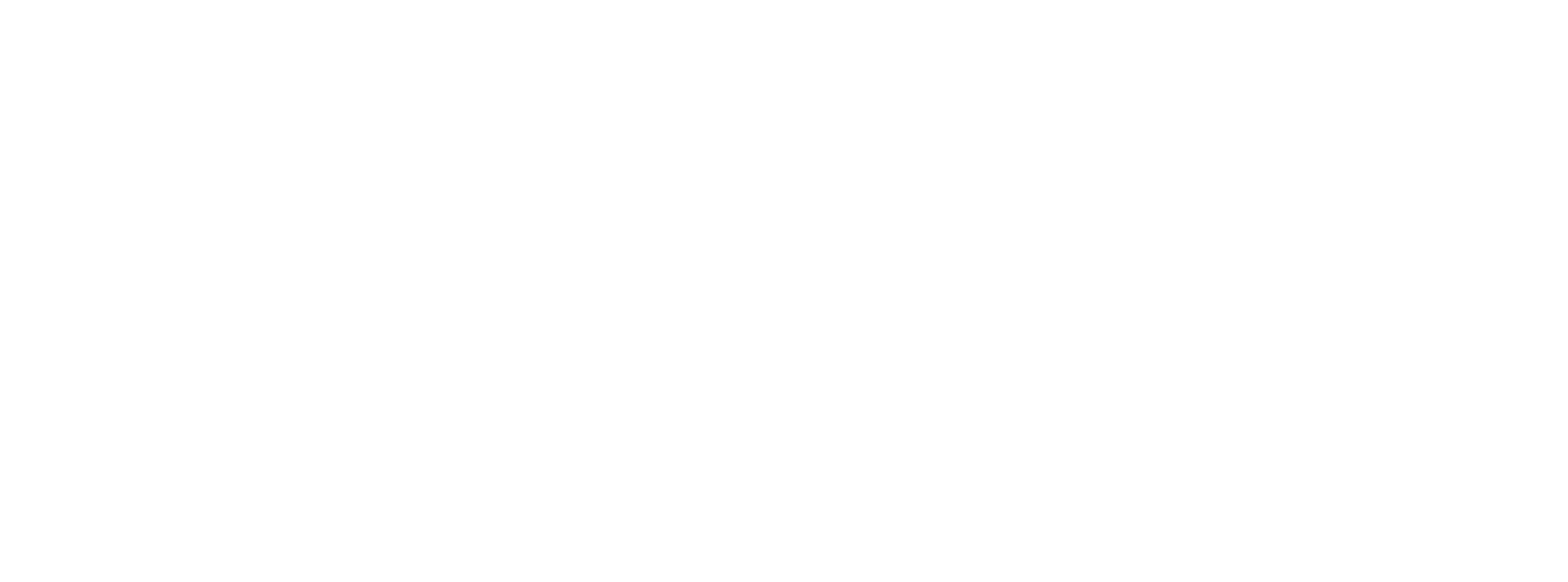 white_logo_transparent_background.png