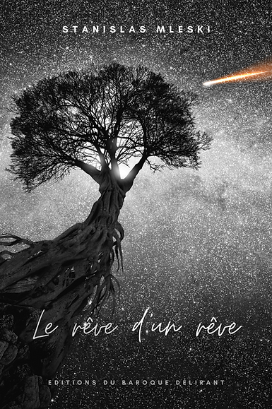 Le rêve d'un rêve (Stanislas Mleski)