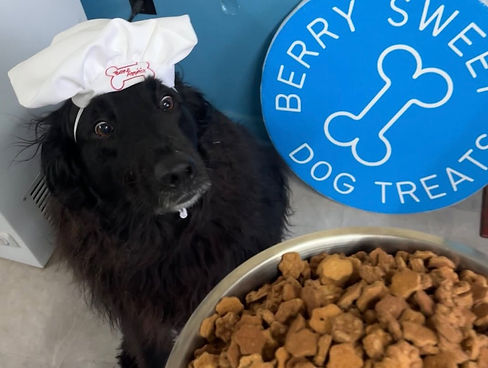 Chef Koda.jpg