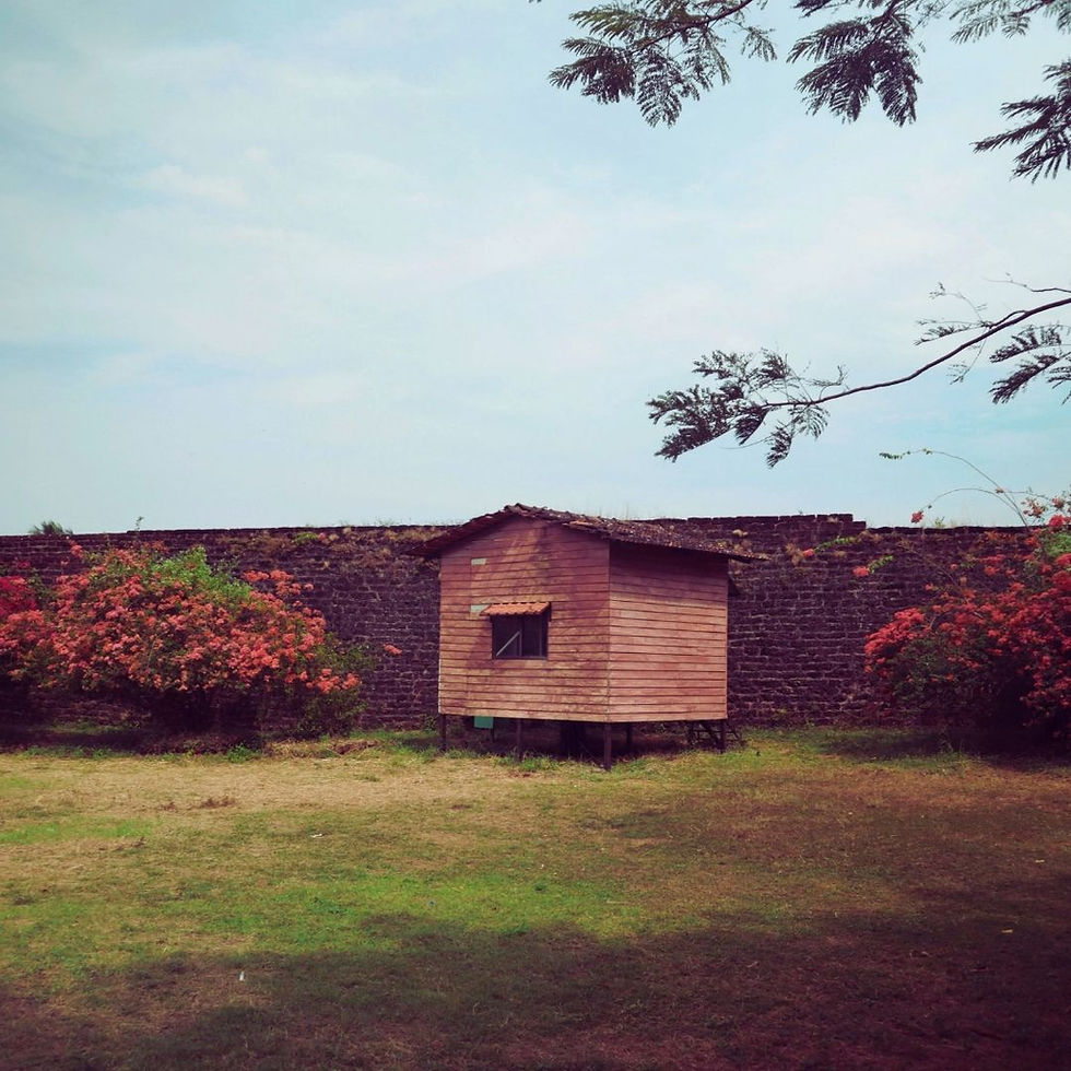 מחסנים מעץ לגינה