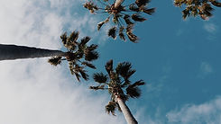 wil-stewart-K_TbABnVzHo-unsplash (1).jpg