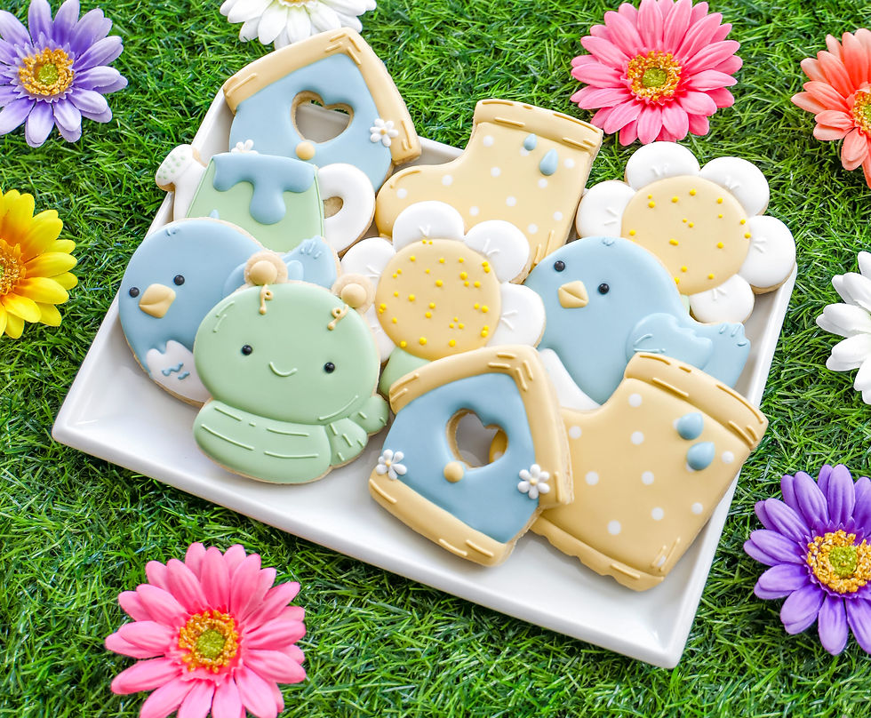 Spring Has Sprung Fun - Sugar Cookie Decorating Class