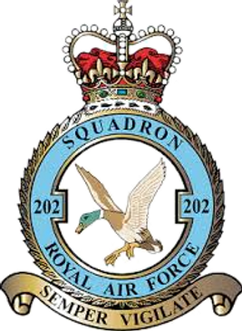 202 Sqn_edited.png