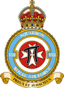 22 Sqn_edited_edited.png