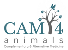 CAM4_Logo_small-1.png