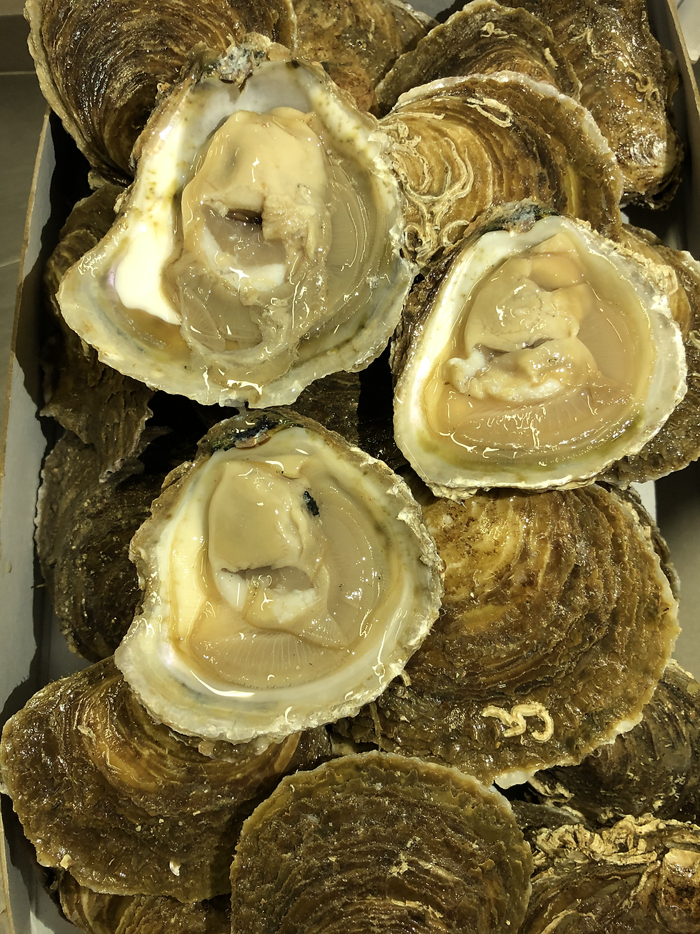 Thumbnail: West Mersea Native Oysters