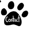 paws_edited.png