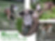 | Greyhound Pets of America Wiscousin