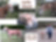 | Greyhound Pets of America Wiscousin