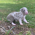 IMG_4876_edited.jpg