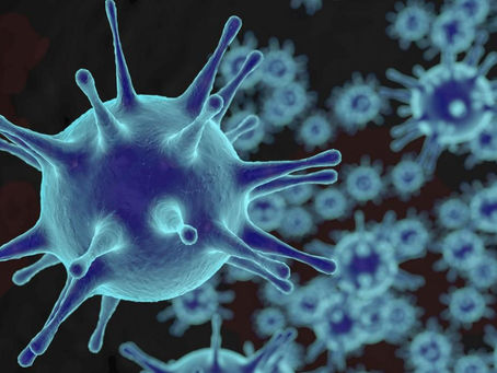 MASSAGGIO E SISTEMA IMMUNITARIO