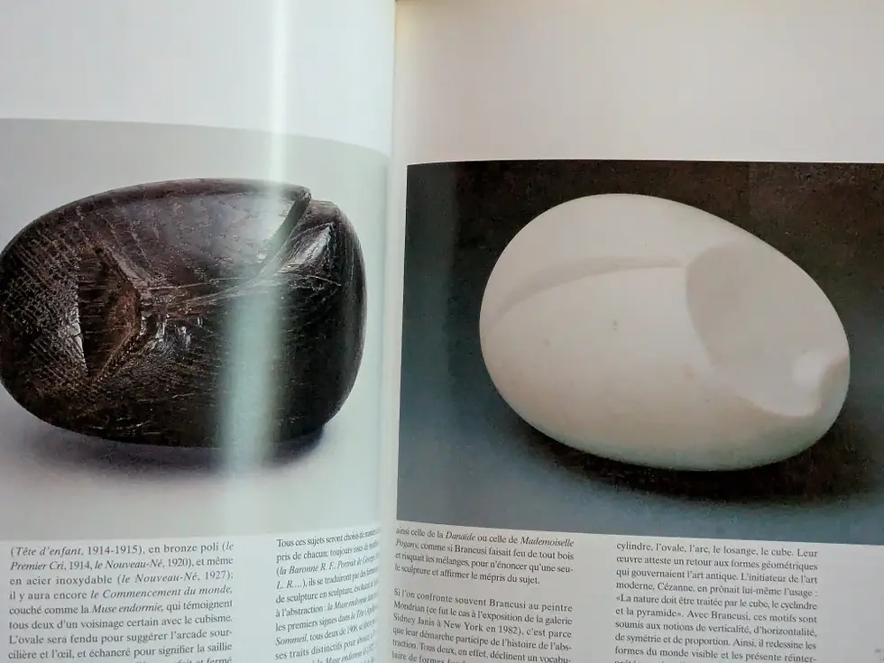 Miniatură: Constantin Brâncuși – Beaux Arts, 1995