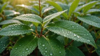 Lost in Bliss: A Journey of Rediscovery in the Heart of Nature