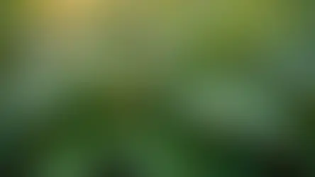 Lost in Bliss: A Journey of Rediscovery in the Heart of Nature