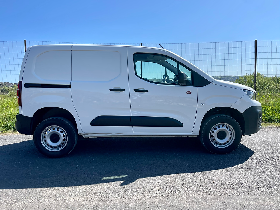 Miniature : PEUGEOT PARTNER L1 1.5 BLUEHDI 100ch GRIP DANGEL TREK
