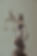 Untitled-1.png