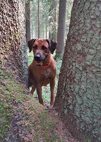 20220630_085117 (003)_edited.jpg