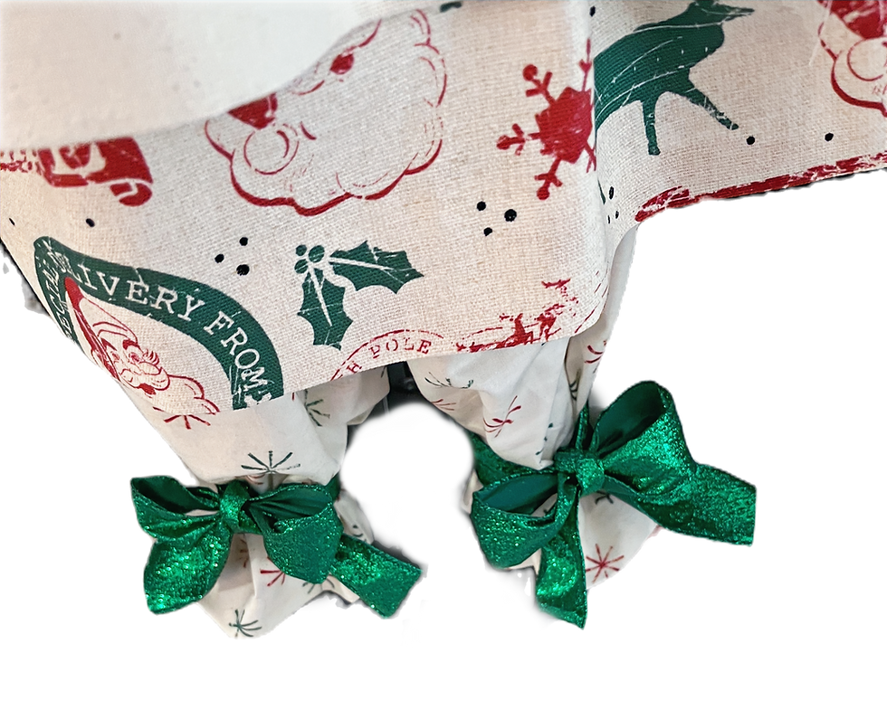 Thumbnail: Santa's Special Delivery